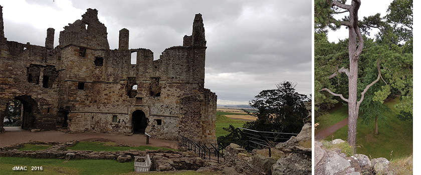 8 Dirleton Castle